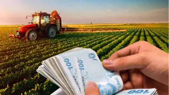 1,3 milyar TL'lik tarımsal destek ödemeleri hesaplarda