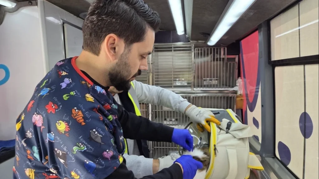 Balıkesir’de can dost aracı yollarda