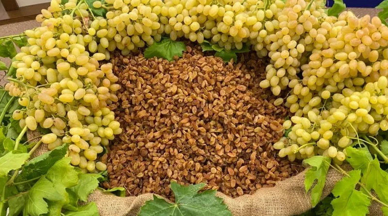 Kuru Meyve İhracatçıları Uluslararası İş Birliklerini Sıklaştırıyor