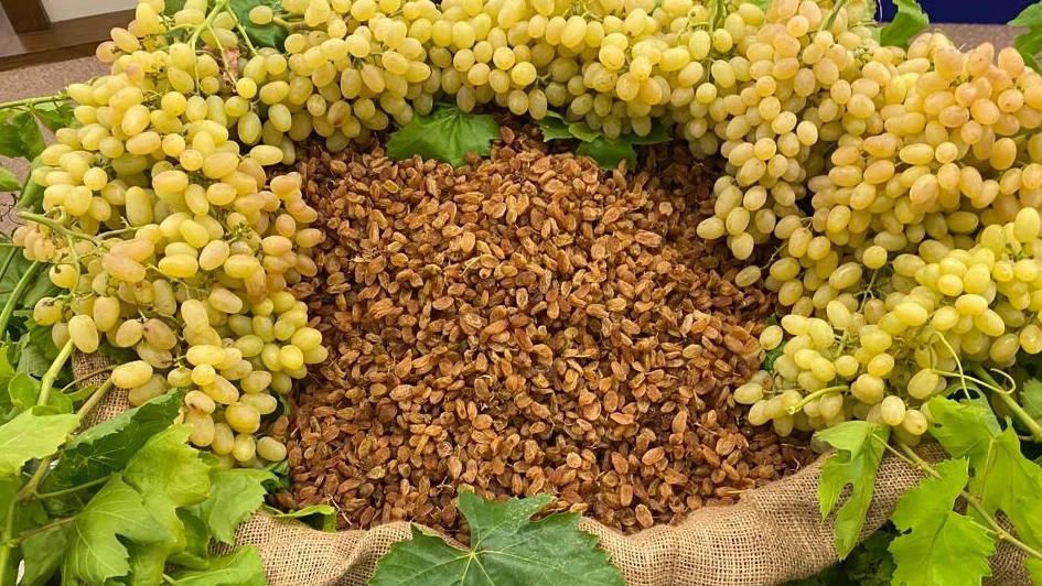 Kuru Meyve İhracatçıları Uluslararası İş Birliklerini Sıklaştırıyor