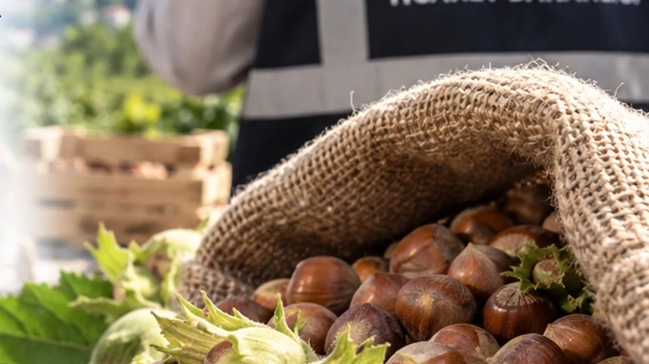 Fındık piyasasında mercek büyütüldü! Ordu ve Giresun’da müfettişler sahada