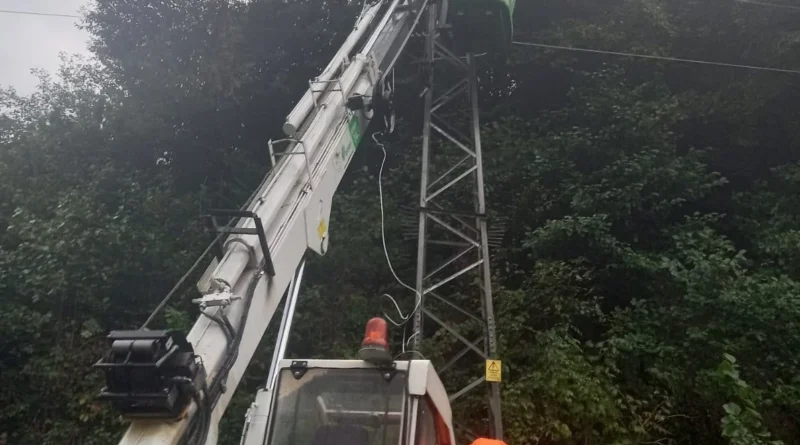 Çoruh EDAŞ’tan Afet Seferberliği