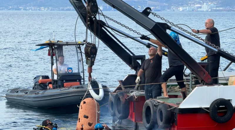 İzmit Körfezi’nde resifler denize indirildi