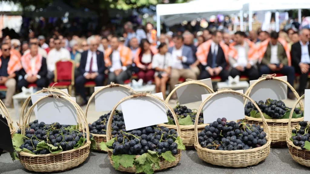İzmir Karabağlar’da Kavacık Üzüm Festivali coşkusu