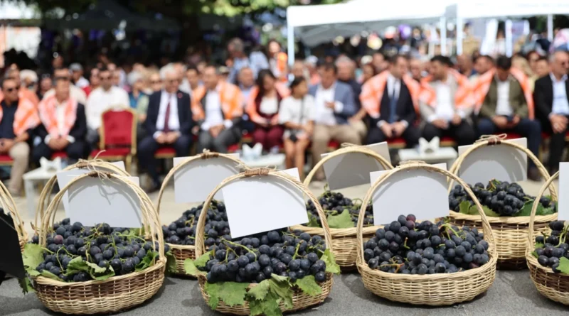 İzmir Karabağlar’da Kavacık Üzüm Festivali coşkusu