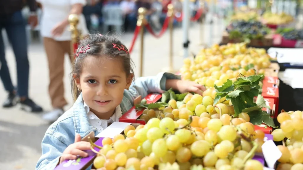 Bursa Osmangazi’de üzüm bereketi festivalle taçlandı