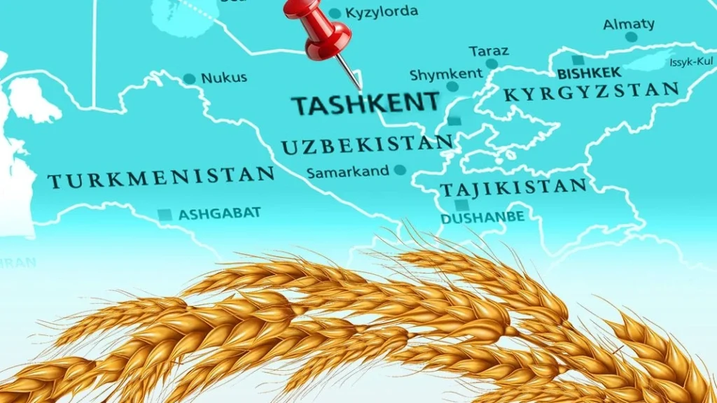 Türkiye un ihracatında 12. şampiyonluk hedefini koydu... Tahıl sektörü Taşkent'te buluşuyor
