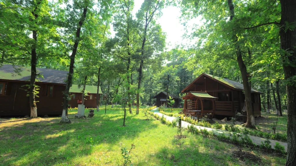 Sakarya İl Ormanı Bungalov Evleri misafirlerini bekliyor