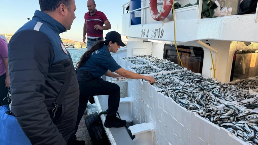 İzmir’de 2,2 Ton Hamsiye El Konuldu: 94 Bin TL Ceza