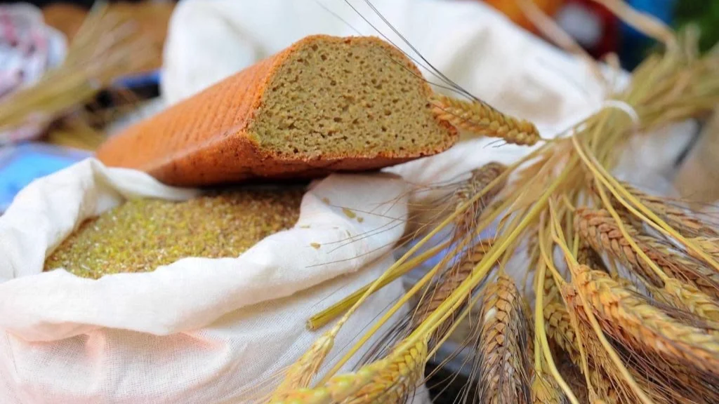 Bir avuç tohumdan 700 dönüme: 9. Ata Ekmeği ve Armola Şenliği