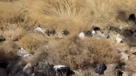 Dikili Çamlık’ta vatandaşlardan temizlik çağrısı