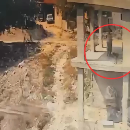 Adana'da Köpeğe Sopalı Şiddet Kameraya Yansıdı
