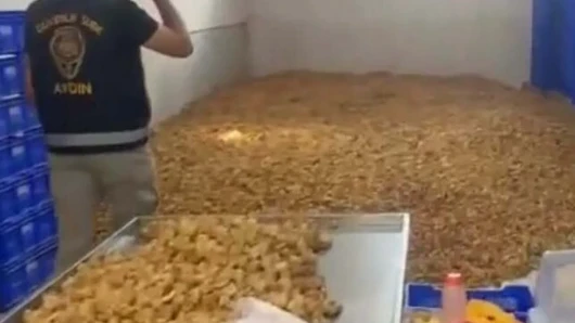 Aydın'da 25 ton etiketsiz kuru incir ele geçirildi