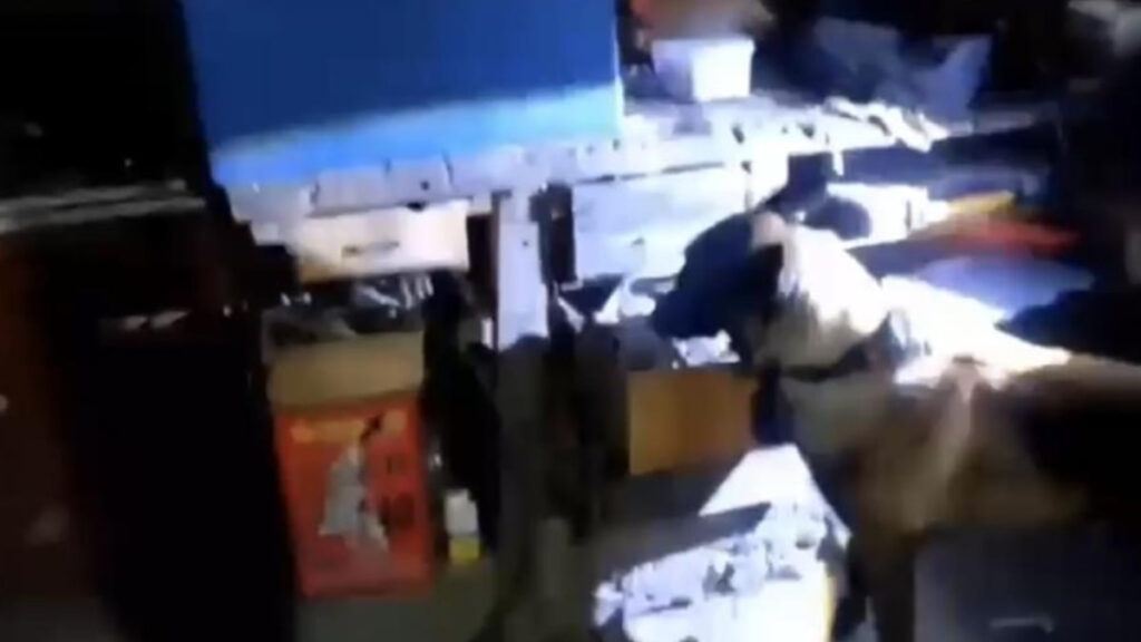 Tokat'ta silah kaçakçılığı operasyonu: 11 gözaltı