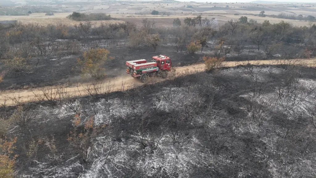 Edirne'de anız yangını kaplumbağa ve yabani hayvanları etkiledi