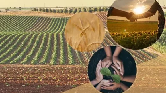 248 tarımsal örgüt 1. dereceye yükseldi — Tarım ve Orman Bakanlığı açıkladı