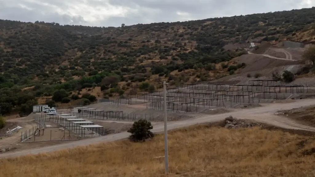 Dikili Sokak Hayvanları Kampüsü 2027'de hizmete açılacak