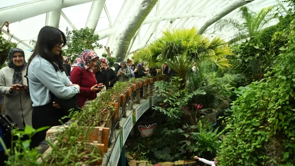 Konya'da 31 ilçeden kadın çiftçiler 15 Ekim'de bir araya geldi