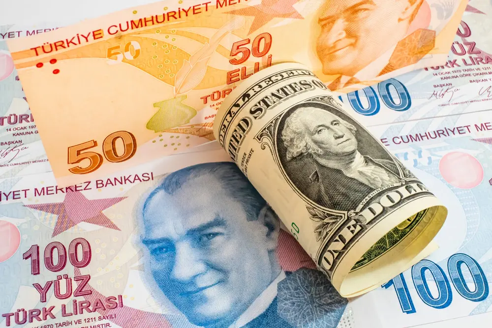 Dolar/TL'de bitmeyen rekor serisi: Ekonomi ve piyasalara etkisi