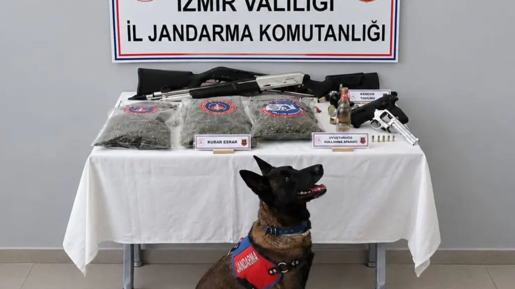 İzmir'de jandarmadan Beydağ'da uyuşturucu ve silah baskını