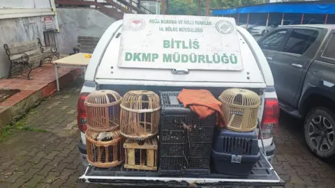 Bitlis Güroymak’ta kaçak avlanan keklikler doğaya salındı