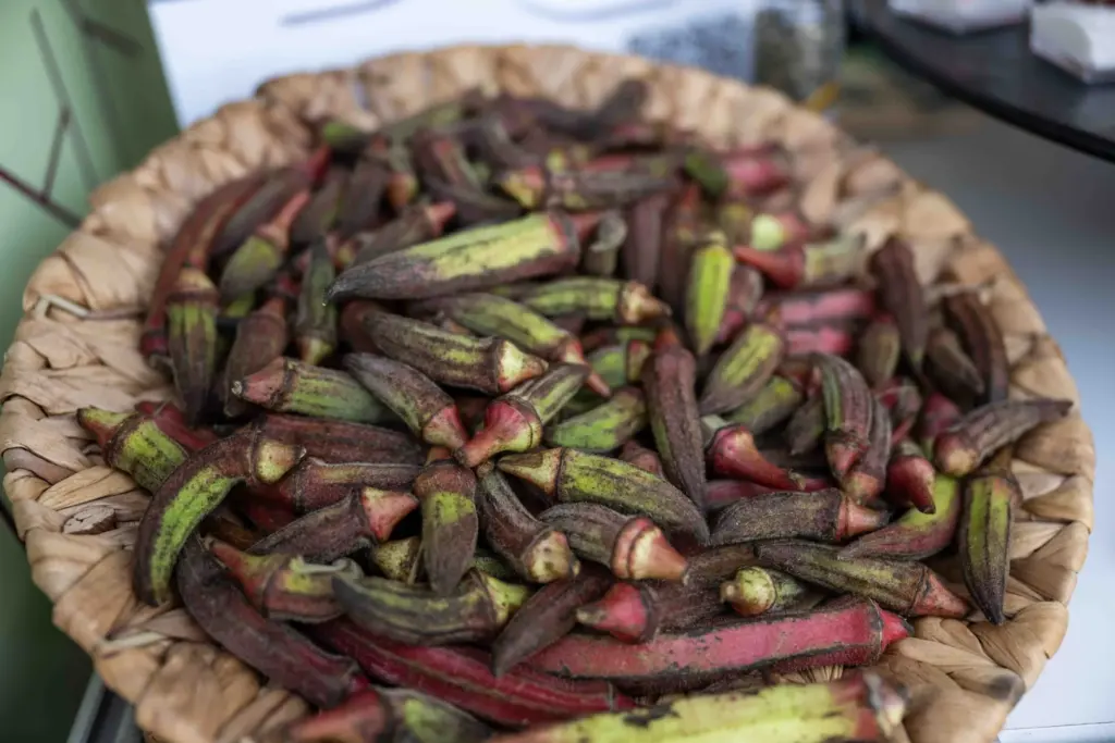 İzmir'de Gastrofest'te Bornova Kınalı Bamyası yoğun ilgi gördü