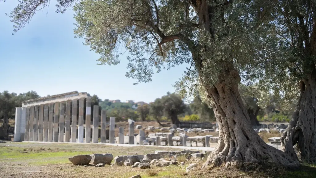 Teos'ta 2 bin 200 yıllık meclis binası ve eğitim vakfı ortaya çıktı