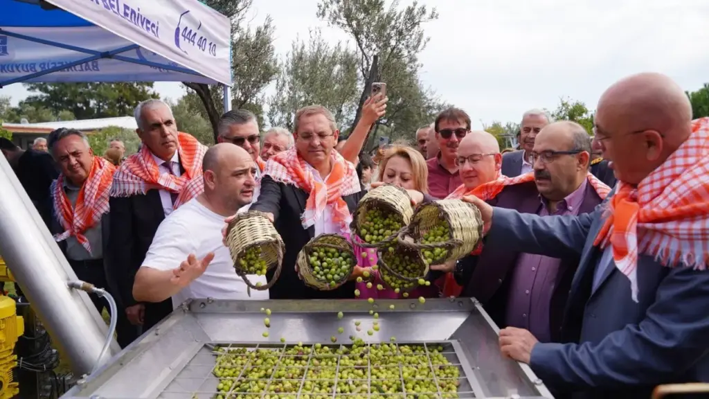Ayvalık Zeytin Hasat Festivali 29 Ekim'de başlıyor
