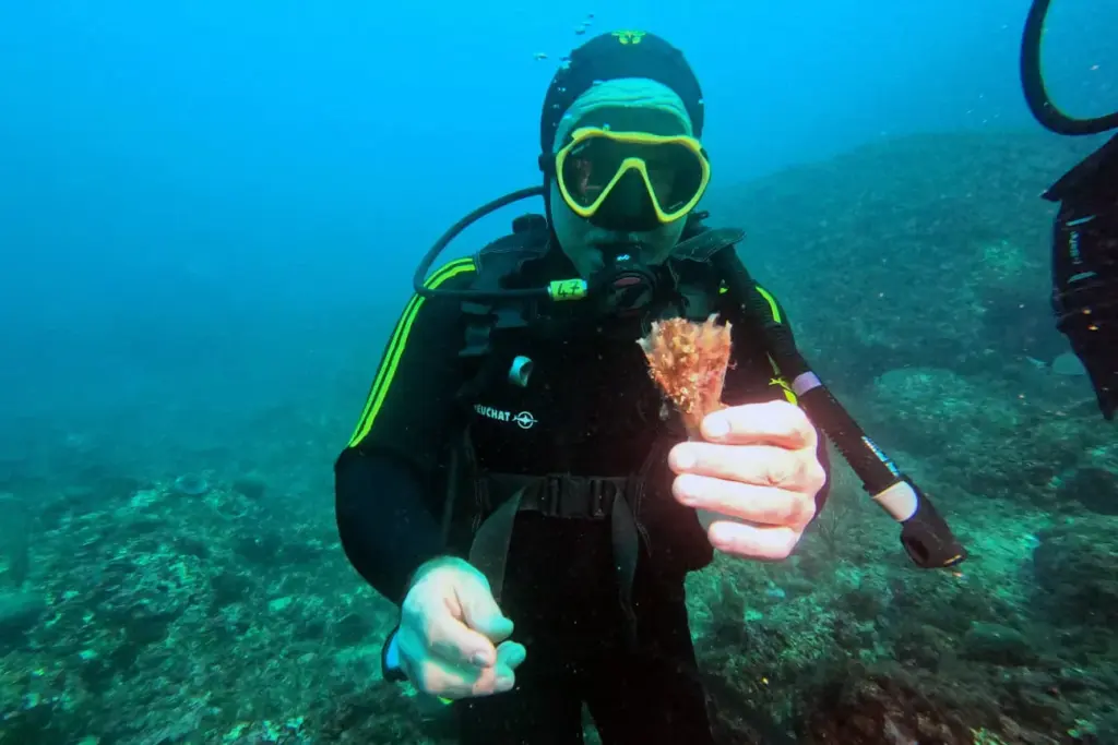 Marsilya'da Posidonia koruması: Akıllı şamandıra örneği