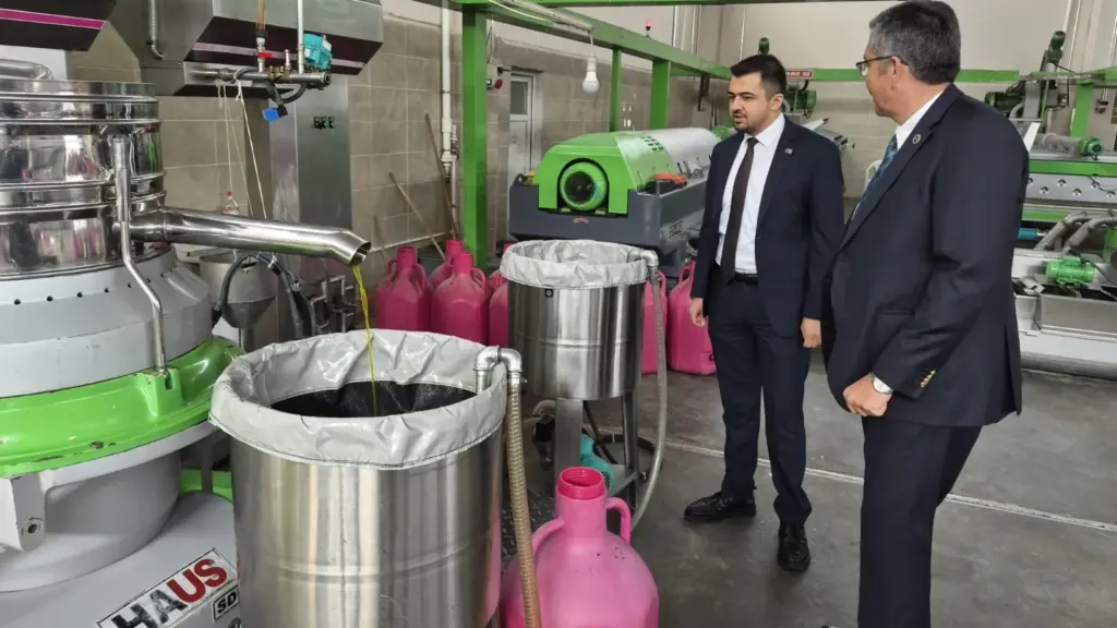 Manisa'da zeytin üreticileri artan maliyetlere isyan etti