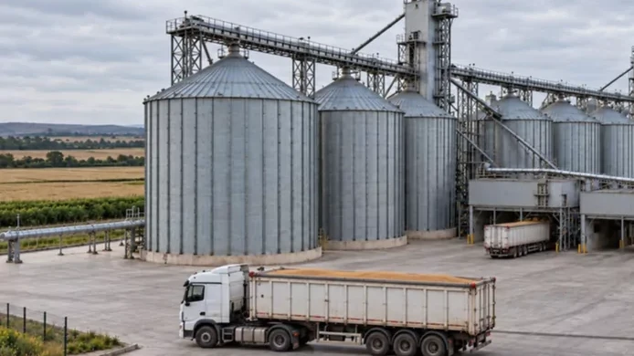 TMO buğday satışına ekimde 5,5 milyon ton çıkarıyor