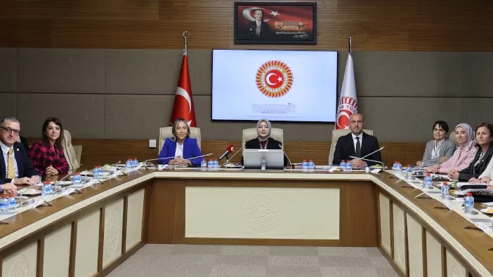 KEFEK başkanvekilliğine Gamze Taşcıer seçildi: Nafaka gündemde